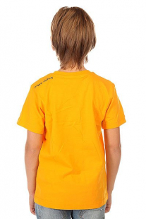 Купить футболка детская picture organic animal orange оранжевый ( id 1132439 )