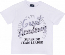 Купить chicco футболка для мальчика great academy 906731