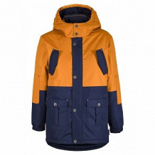 Купить куртка premont остров элсмир, цвет: синий/желтый ( id 12668638 )