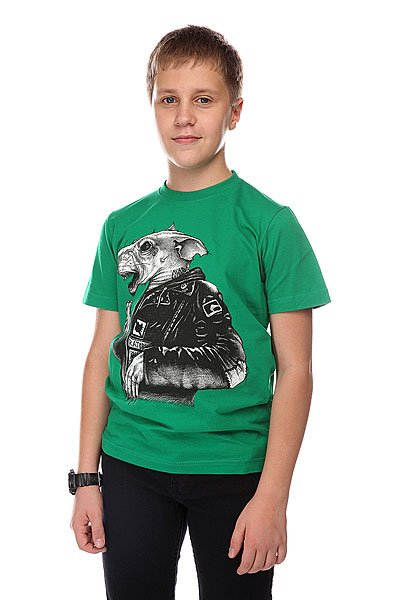 Купить футболка детская globe boys bar rat tee kelly green зеленый ( id 1100573 )