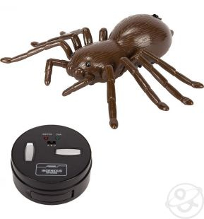 Купить паук tongde на радиоуправлении 12 см ( id 2694080 )
